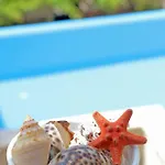 Sea Star Βίλα *