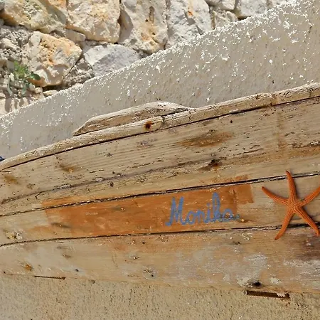 Sea Star * Babino Polje